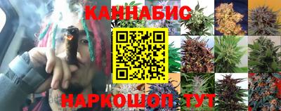 гашик Белореченск