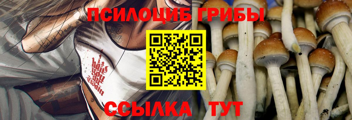 Псилоцибиновые грибы прущие грибы Кузнецк